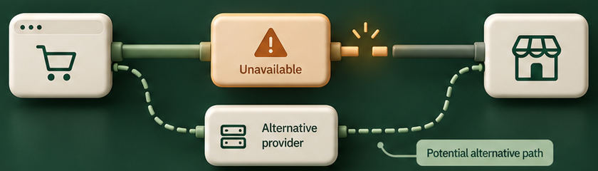 Conceptual potential alternative: the primary provider remains amber and unavailable between checkout and storefront; a dotted sage bypass connects through an Alternative provider module, labeled Potential alternative path.